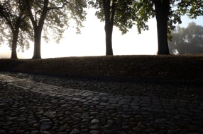 Gepflasterte Straße in Dömitz