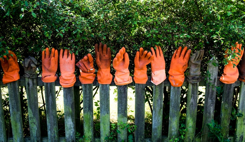 Fischerhandschuhe, Terschelling, Zaun